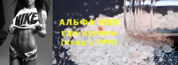 крисы Алзамай
