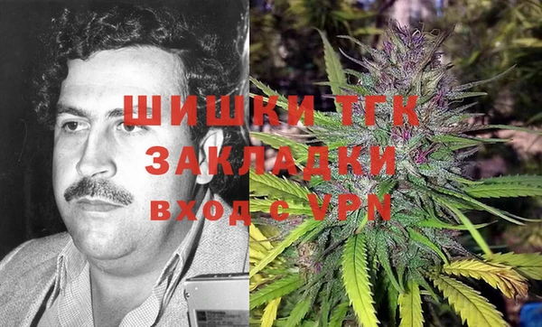 крисы Алзамай