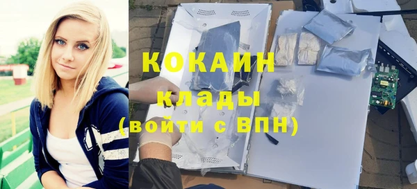 мет Алексин