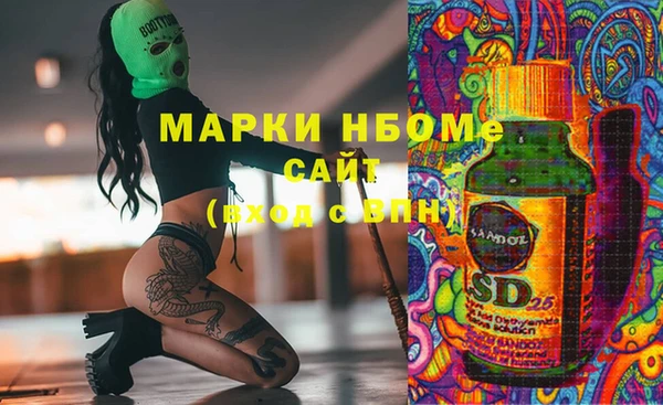 мет Алексин