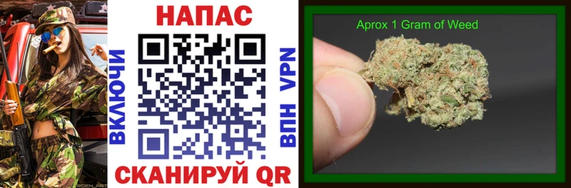 Бошки Шишки THC 21%  цена наркотик  Котово 